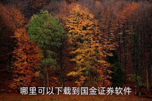 國金證券用的什么軟件，國金證券手機(jī)怎樣下載