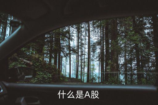 什么是a股和b股，什么是A股