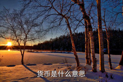 貨幣代表什么，貨幣是什么意思