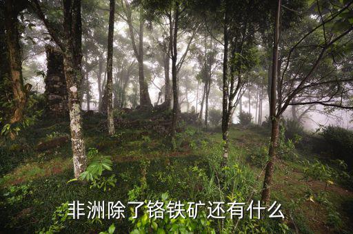非洲有什么礦產(chǎn)資源，非洲哪些礦產(chǎn)豐富