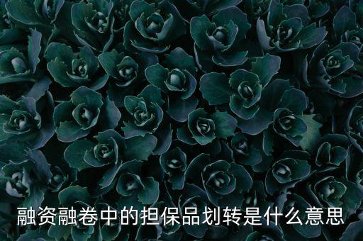 什么是劃轉(zhuǎn)，劃撥轉(zhuǎn)賬是什么意思
