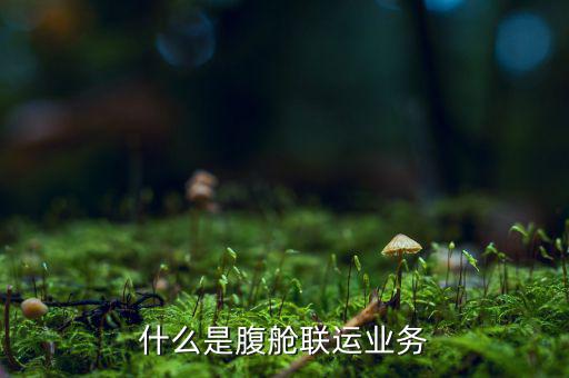 什么叫聯(lián)運(yùn)業(yè)務(wù)，什么是腹艙聯(lián)運(yùn)業(yè)務(wù)