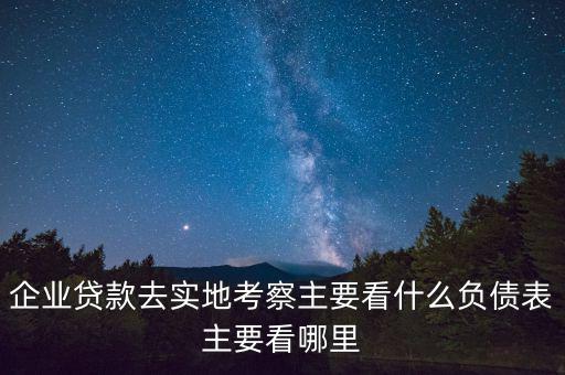 貸款實(shí)地考察做些什么，企業(yè)貸款去實(shí)地考察主要看什么負(fù)債表主要看哪里