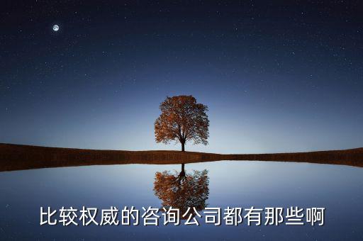艾瑞和易觀是什么公司，易觀國(guó)際有幾個(gè)子公司