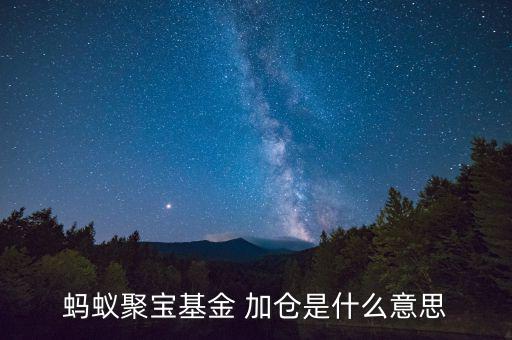 基金加倉(cāng)是什么意思，螞蟻聚寶基金 加倉(cāng)是什么意思