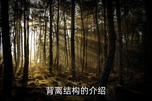 什么是帶結(jié)構(gòu)的背離，背離結(jié)構(gòu)的介紹