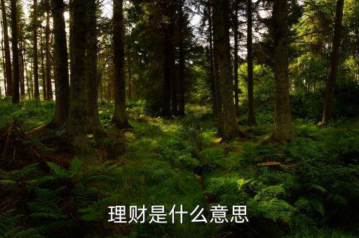理財(cái)市場(chǎng)是什么，理財(cái)是什么意思