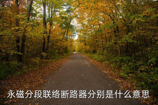 什么是永磁開關(guān)，什么是永磁