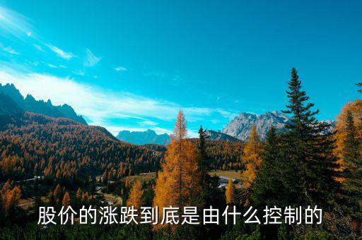 是什么控制了中國股市，是什么在操縱股市的大盤
