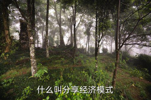 什么是分享經(jīng)濟(jì)，通俗講什么是分享經(jīng)濟(jì)