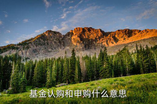 基金認申購什么意思，基金中的認購是什么意思