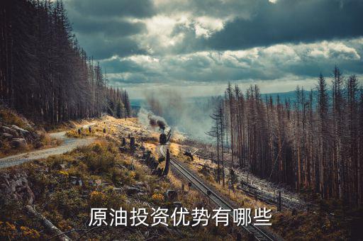 國家對投資原油有什么扶持，原油是國家支持的嗎