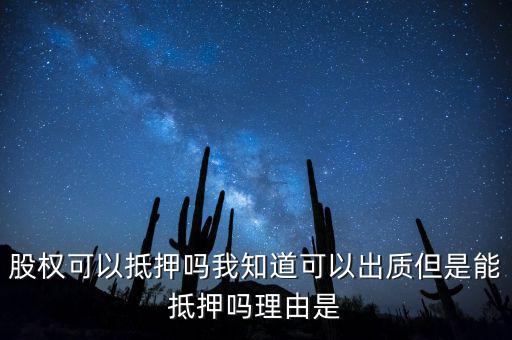 股權(quán)為什么不能抵押，股權(quán)可不可以進(jìn)行抵押