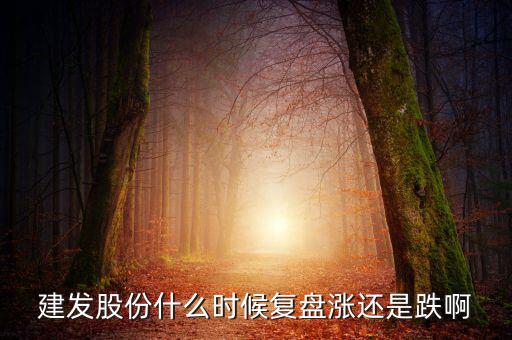 002719股什么時候復(fù)盤，000719什么時候復(fù)牌啊