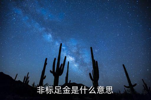 什么是金融非標產品，什么叫非標融資