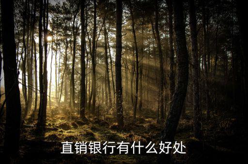 浦發(fā)直銷銀行能干什么，銀行直銷部是做什么的