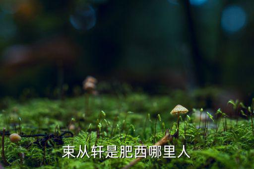 朱從玖肥西什么地方人，kimson肥西是哪里人