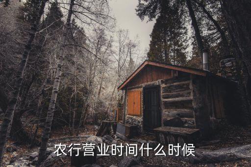 農(nóng)行什么時(shí)候上班，農(nóng)行上班時(shí)間