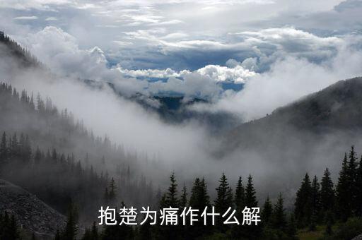抱楚為痛什么意思，是你很激動(dòng)求我原諒抱得我都痛 是什么意思