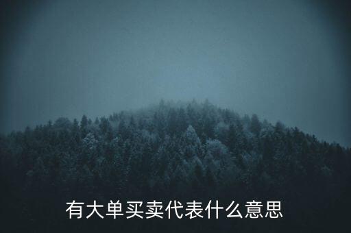 在買(mǎi)5成交有大單是什么意思，股票中大單是什么意思