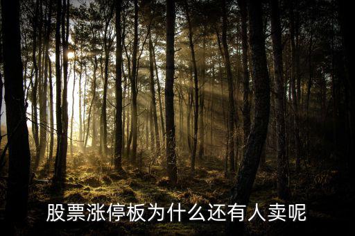 為什么已經(jīng)漲停的股票那么多人買，當(dāng)天漲停的股票為什么還有那么多人買入跟進(jìn)呢