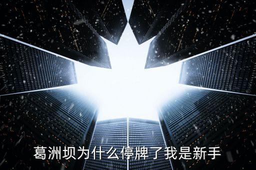 葛洲壩為什么停牌，葛洲壩為什么8月21日停牌