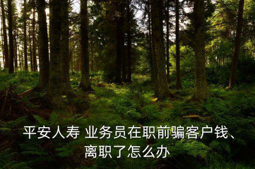  平安人壽 業(yè)務(wù)員在職前騙客戶錢、離職了怎么辦