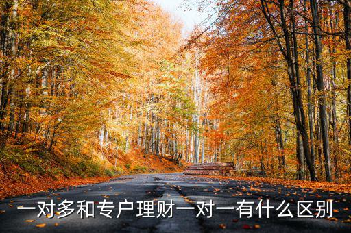 一對(duì)多和專(zhuān)戶理財(cái)一對(duì)一有什么區(qū)別