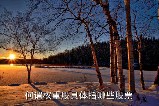 什么叫權(quán)重股，權(quán)重股與小盤(pán)股的區(qū)別在那兒我想數(shù)下有多少權(quán)重股有多少小盤(pán)股