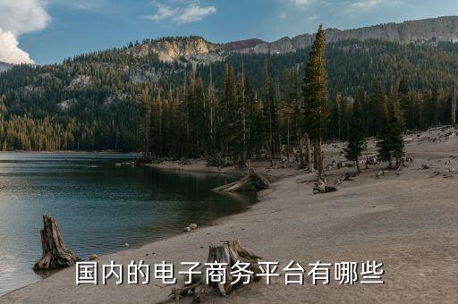 中俄電子商務(wù)用什么平臺，俄羅斯的電子商務(wù)網(wǎng)站哪個(gè)好