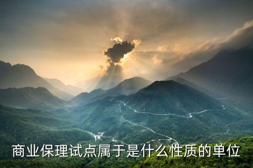深圳商業(yè)保理協(xié)會是什么性質，商業(yè)保理試點屬于是什么性質的單位
