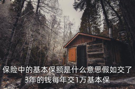 基本保額是什么意思，基本保險(xiǎn)金額是什么意思
