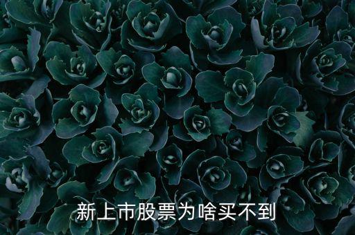 為什么新股我總買不到，新上市股票為啥買不到