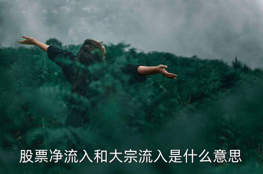 股票大宗流入是什么意思，股票凈流入額大宗流入什么意思