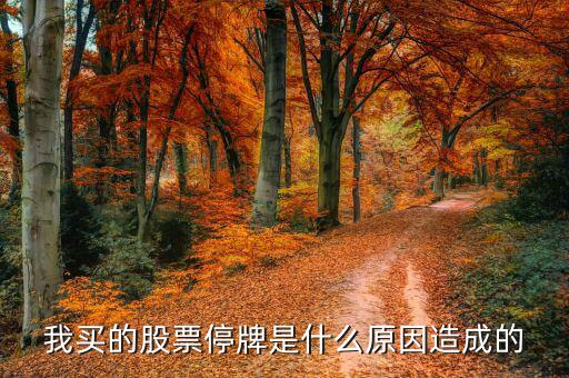 美達股份為什么停牌，我買的股票停牌是什么原因造成的