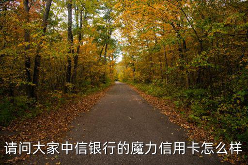 中信魔力白金卡什么樣，中信白金魔力信用卡到底是精英卡還是尊尚卡還是其它