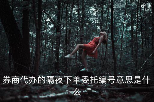 股票委托編號(hào)是什么意思，股票交易中委托編號(hào)208中208是什么意思