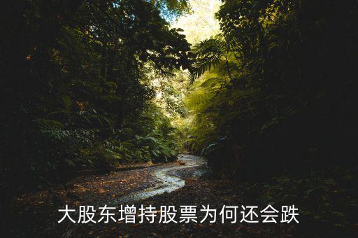 股東增持股票為什么跌，為什么股東增持股價卻下跌
