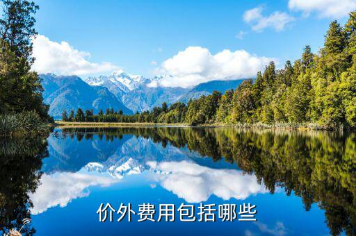 政府性基金是什么意思，何為政府性資金國有企業(yè)投資時其資本金部分算不算政府資金