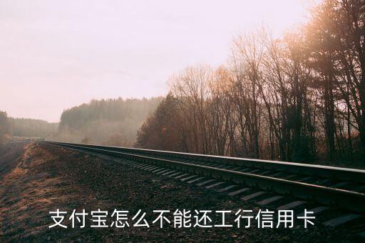 支付寶為什么不能還信用卡，支付寶怎么不能還工行信用卡