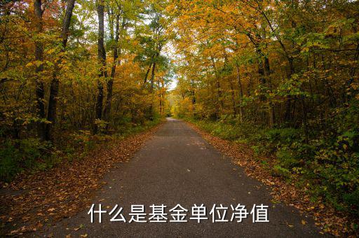 基金中什么是單位凈值，什么是基金單位凈值