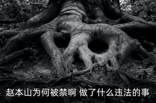 趙本山作品為什么禁播，趙本山的小品怎么也不讓播了