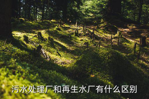 什么是再生水廠，污水處理廠和再生水廠有什么區(qū)別
