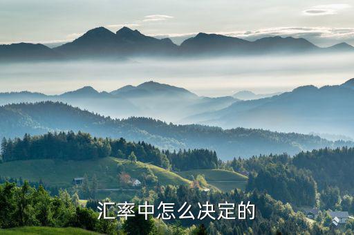 匯率是由什么決定的，人民幣匯率是由哪些因素決定的