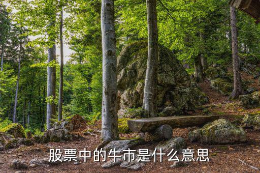 牛市投資什么，牛市炒股也能虧錢(qián)我該如何理財(cái)