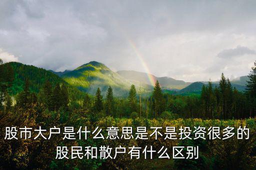 炒股大戶是什么意思，股票中的大戶是什么意思