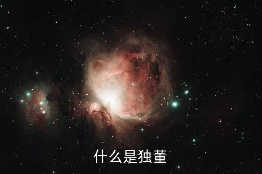 為什么董建華獨(dú)董，我國(guó)上市公司的獨(dú)立董事的來(lái)源主要有哪些