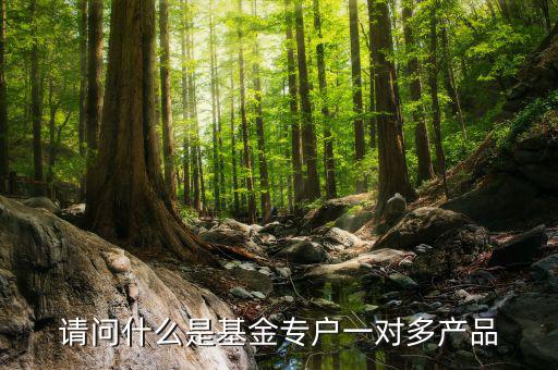 請(qǐng)問(wèn)什么是基金專(zhuān)戶一對(duì)多產(chǎn)品