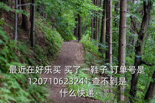 好樂買發(fā)什么快遞，我在好樂買用網(wǎng)銀付款買了雙鞋子請問他們都用什么快遞發(fā)貨