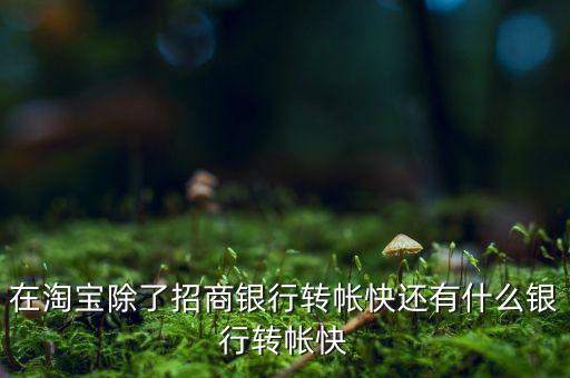 什么銀行網(wǎng)上轉(zhuǎn)賬最慢，在淘寶除了招商銀行轉(zhuǎn)帳快還有什么銀行轉(zhuǎn)帳快